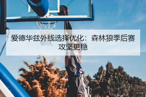 爱德华兹外线选择优化：森林狼季后赛攻坚更稳